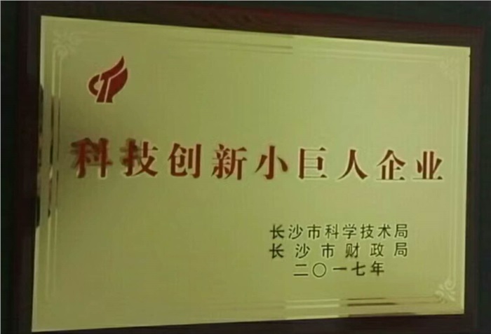 乐竞(中国)智能荣获科技创新小巨人企业